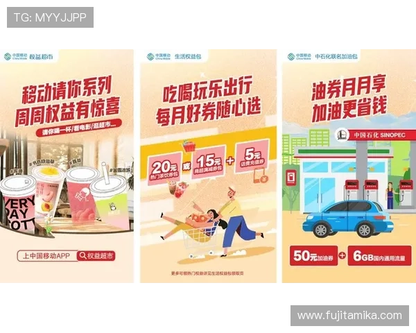 凯发手机版VIP会员制度详解及专属福利权益介绍